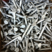 PRYDA Galvanised Timber Connector Nails 35 x 3.15mm 700g