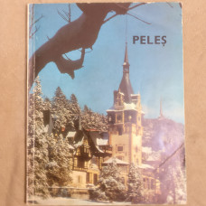 Guide to Peles Museum