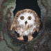 Fabric Art Owl – Large